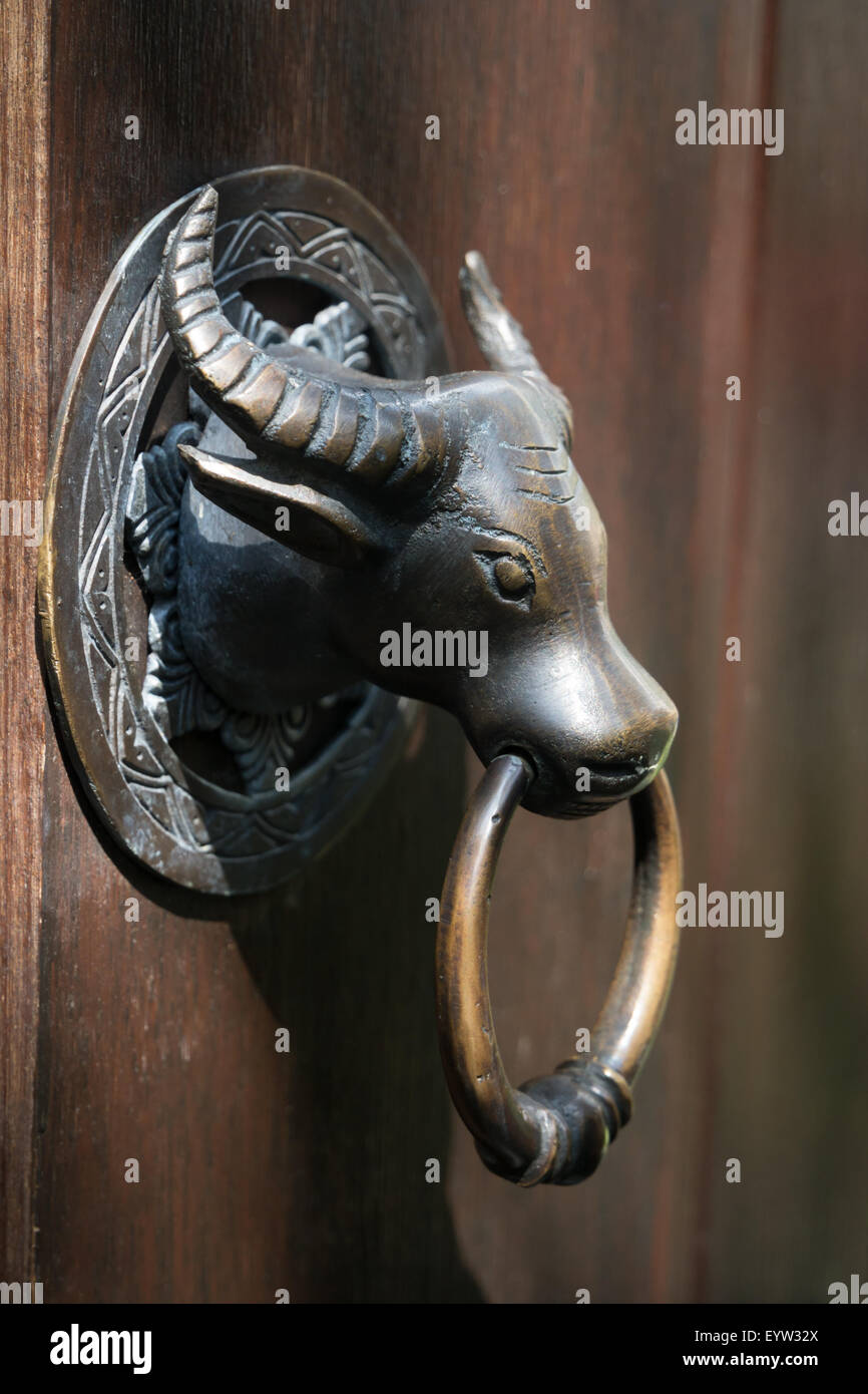 Buffalo like hi-res stock photography and images - Alamy