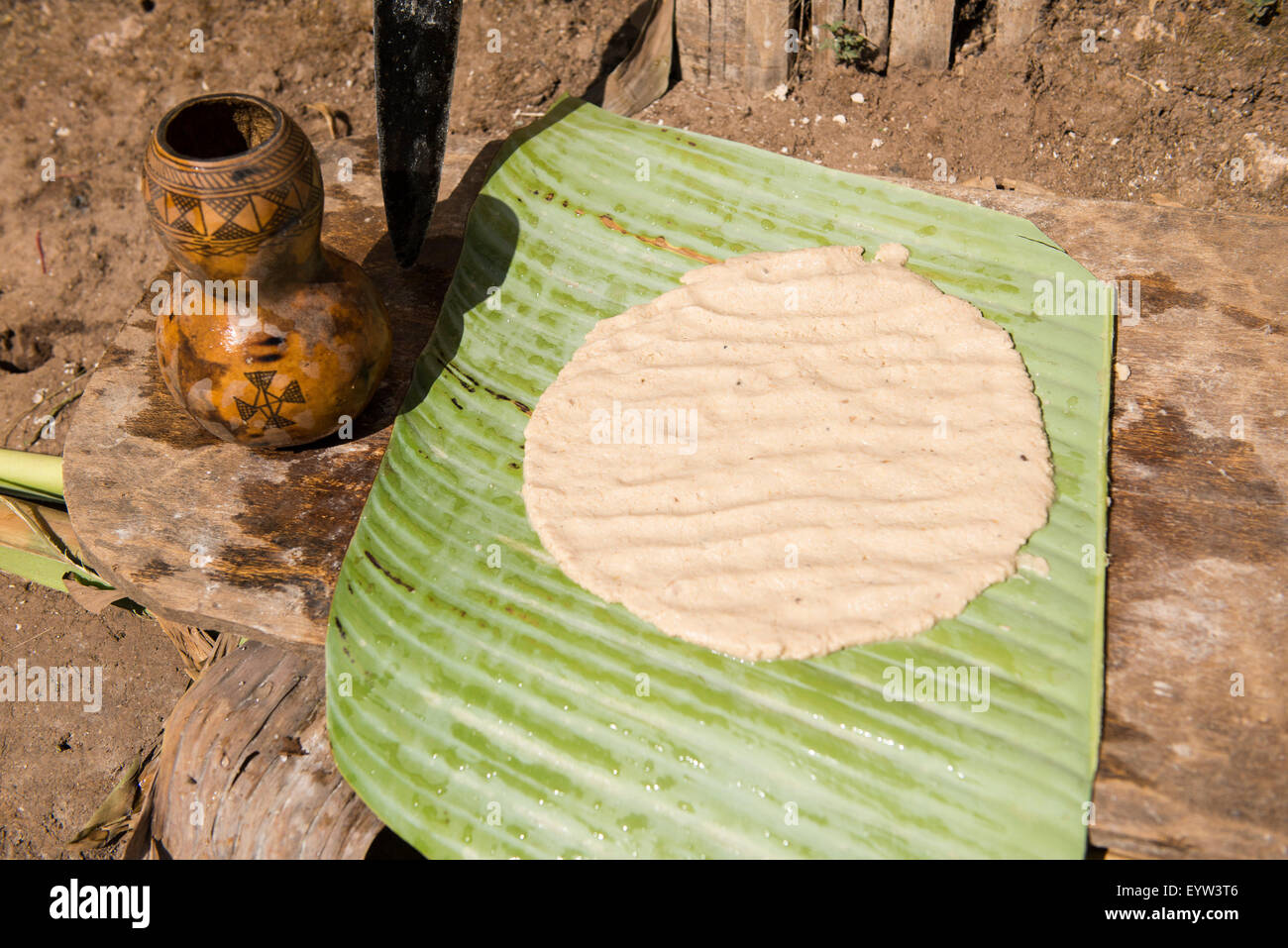 Kocho (unleavened bread) is made from the False Banana Tree, Dorze, Ethiopia Stock Photo