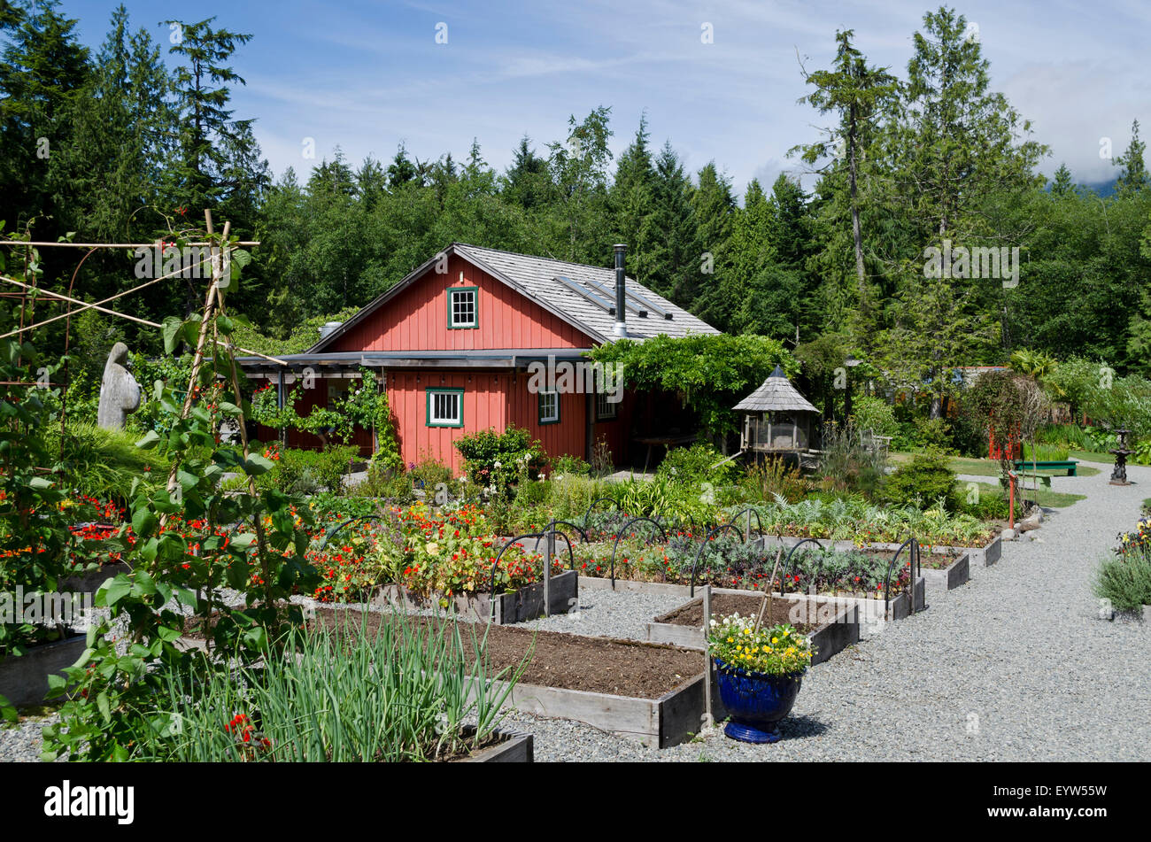 Plants and flowers of Tofino Botanical Garden, with Darwin's Cafe restaurant. On the West Coast of Vancouver Island. Stock Photo