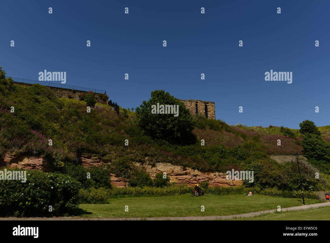 Tynemouth, Northumberland, UK, captain collingwood, lighthouse, pier