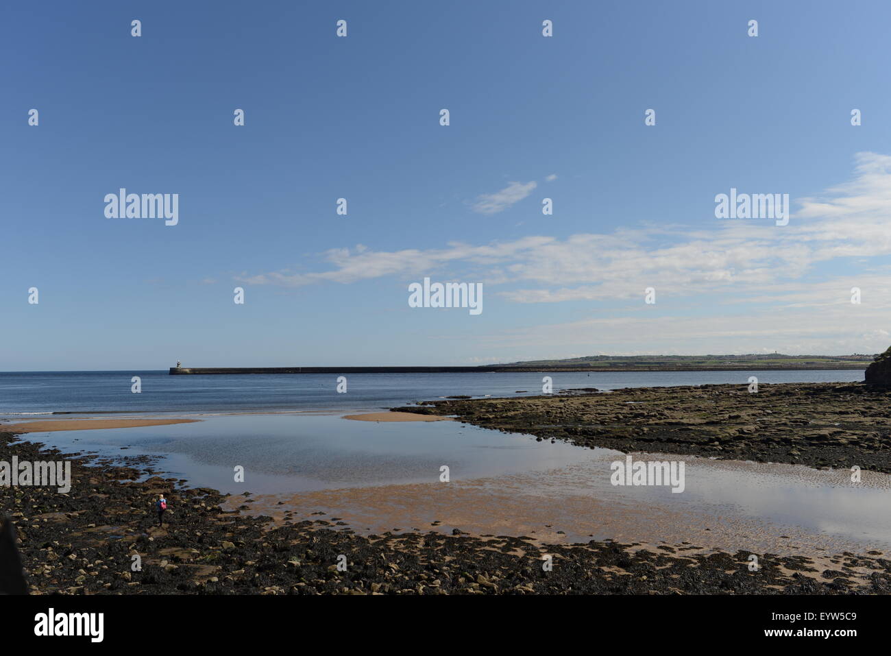 Tynemouth, Northumberland, UK, view out to harbour, captain collingwood