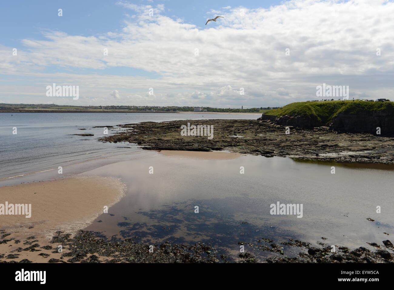 Tynemouth, Northumberland, UK, captain collingwood, lighthouse, pier