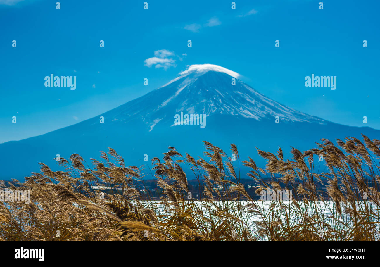 Mount Fuji and Kawaguchiko lake, Japan Stock Photo