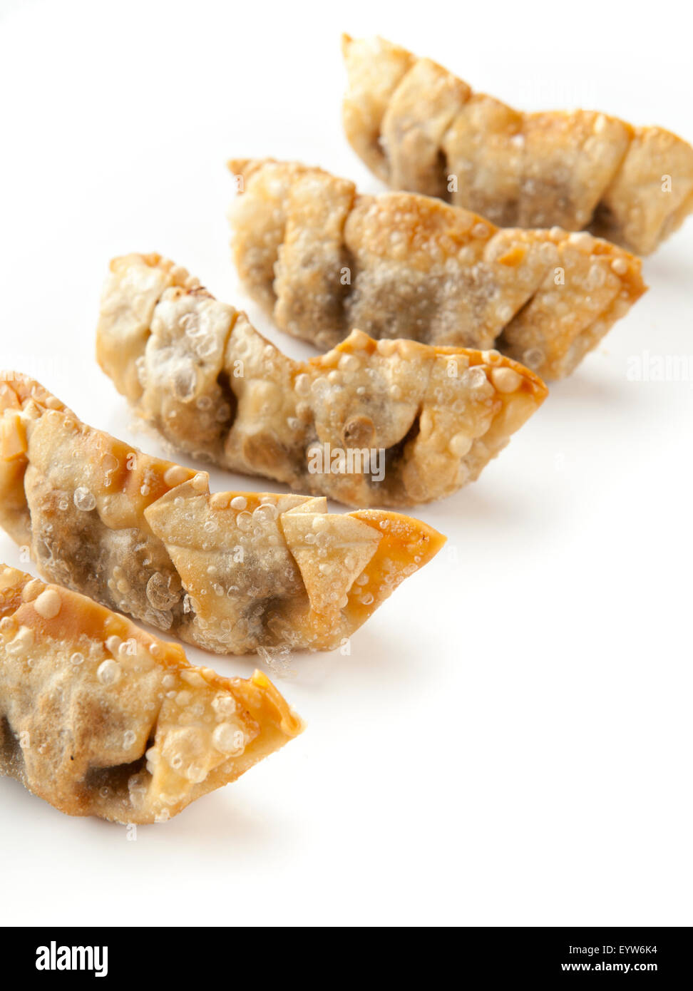 deep fried Japanese dumplings gedza on a white background Stock Photo