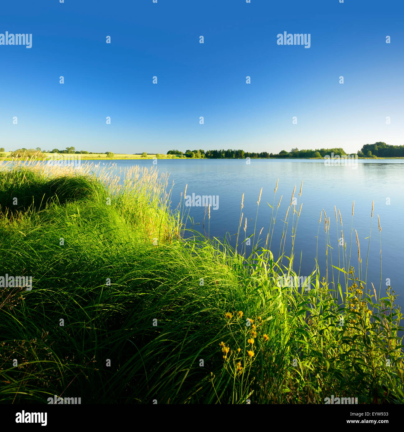 Neuer Teich pond in Plothen Ponds area, Thüringer Schiefergebirge Obere