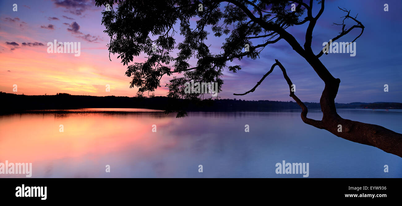 Sunset, tree on lake Pilsensee, Bavaria, Germany Stock Photo
