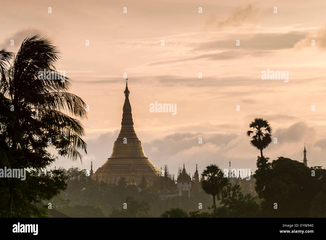 Golden stupa at sunset, chedi, Shwedagon Pagoda, Kandawgyi Lake, Kandawgyi Nature Park, Yangon or Rangoon, Yangon Region Stock Photo