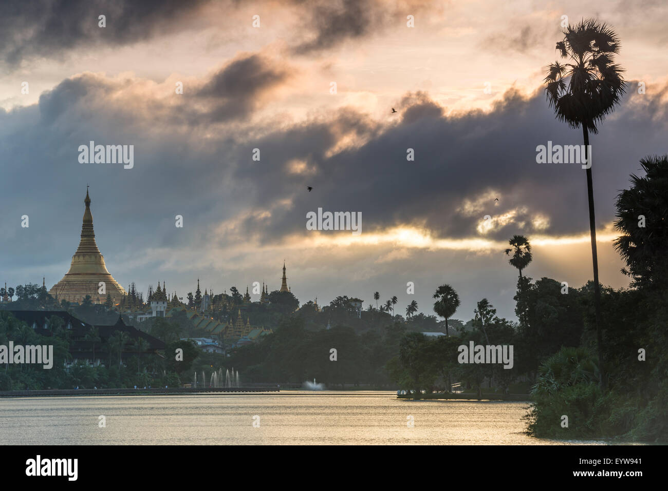 Golden stupa at sunset, chedi, Shwedagon Pagoda, Kandawgyi Lake, Kandawgyi Nature Park, Yangon or Rangoon, Yangon Region Stock Photo