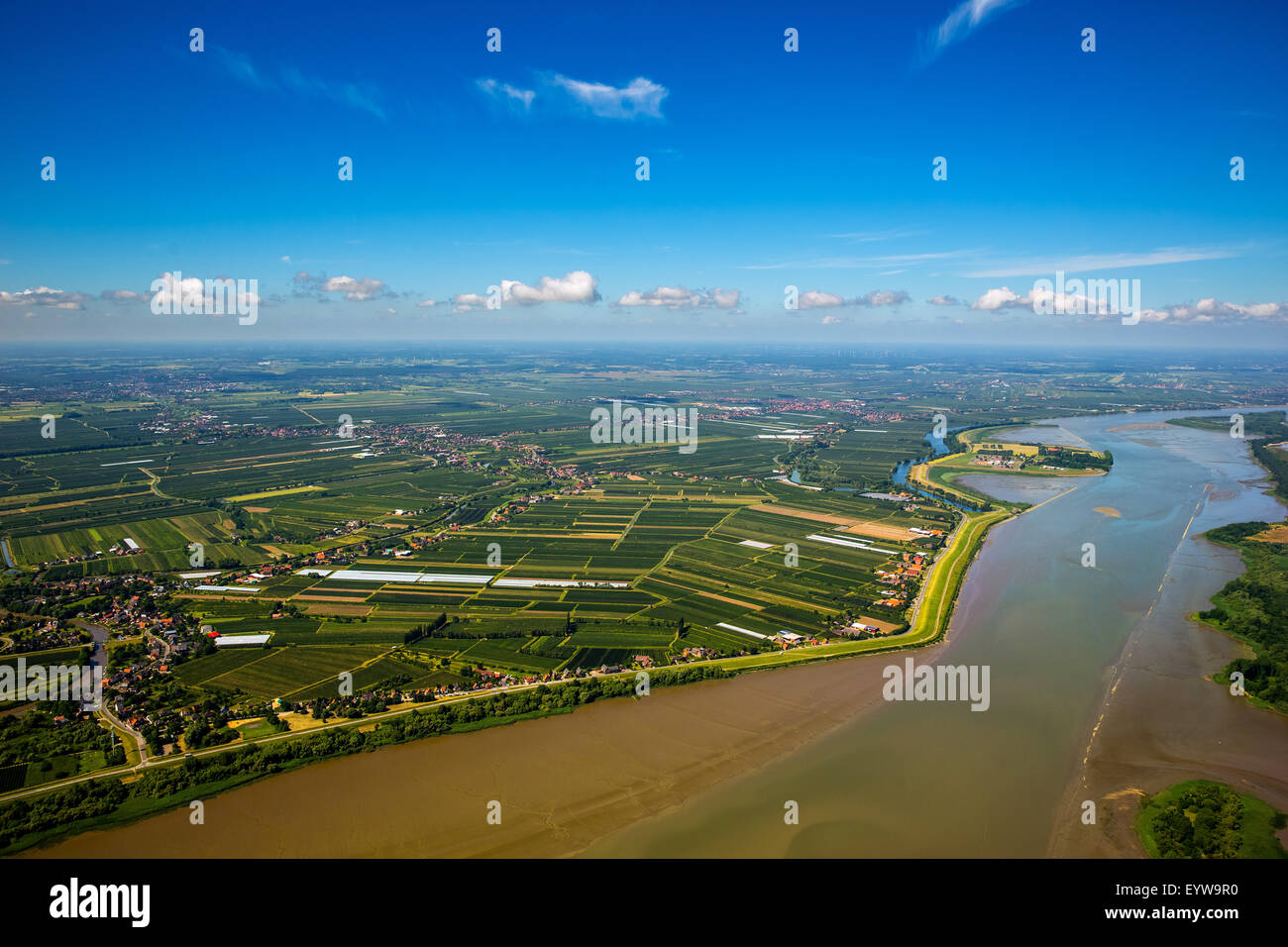 Orchards, Finkenwerder, Altes Land, Hamburg, Germany Stock Photo