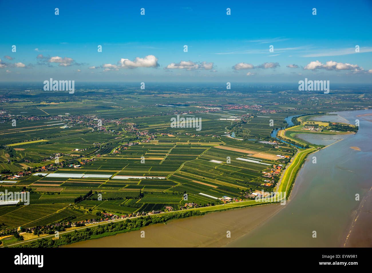 Orchards, Finkenwerder, Altes Land, Hamburg, Germany Stock Photo