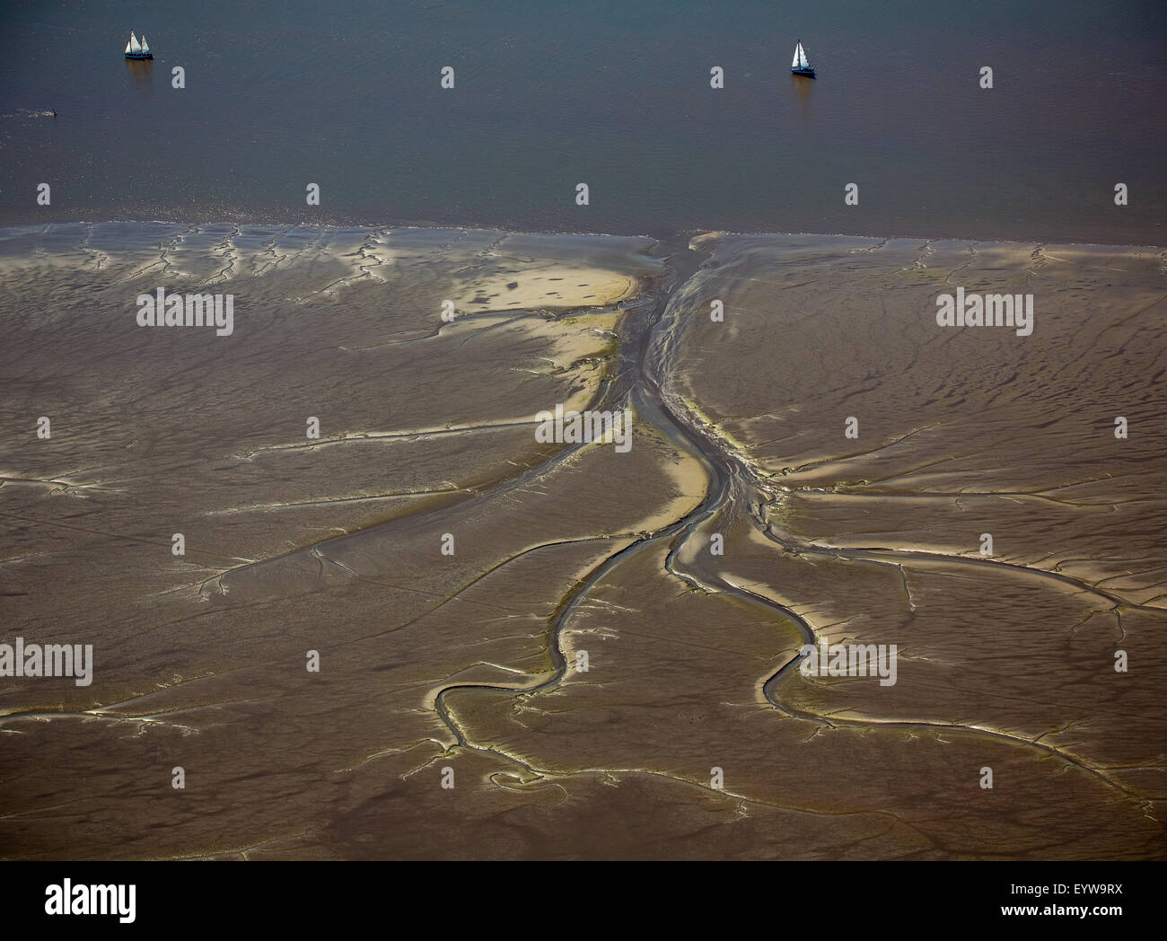 Tidal Creeks At Low Tide On Halbkalbsand Island In The River Elbe, Near 