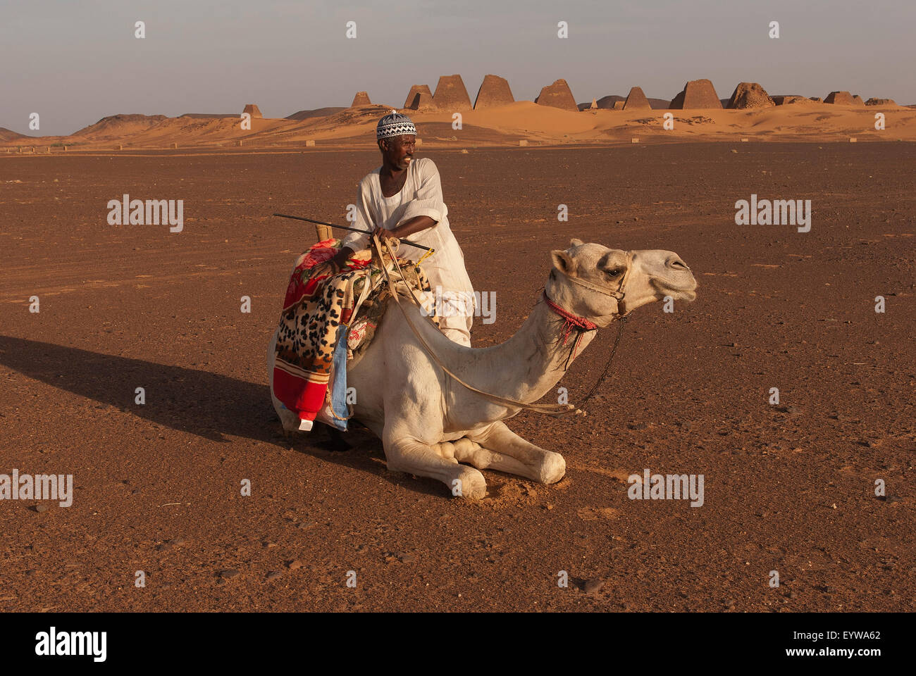 Local man with a dromedary in the sand,the pyramids of Meroe behind, Nubian Desert, Nubia, Nahr an-Nil, Sudan Stock Photo
