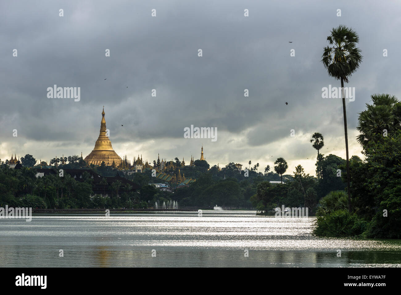 Golden main stupa, chedi, Shwedagon Pagoda, Kandawgyi Lake, Kandawgyi Nature Park, Yangon or Rangoon, Yangon Region, Myanmar Stock Photo