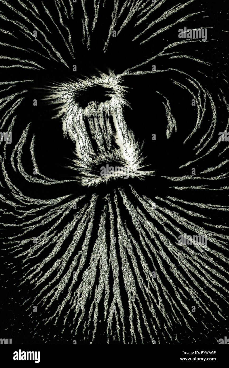 Attraction and repulsion iron metal particles align up along the magnetic fields lines created by horse shoe magnet Stock Photo