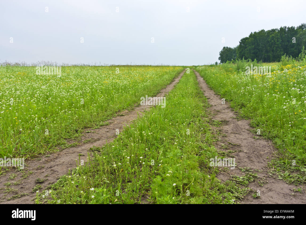 country road and rainy clouds Stock Photo - Alamy