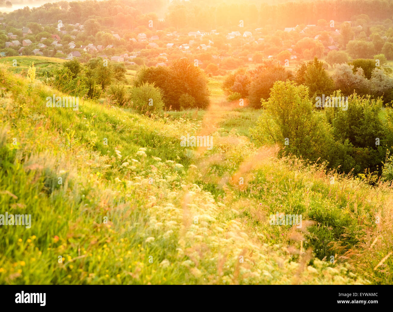 Beautiful rural landscape with sunrise over a meadow. Soft focus Stock Photo