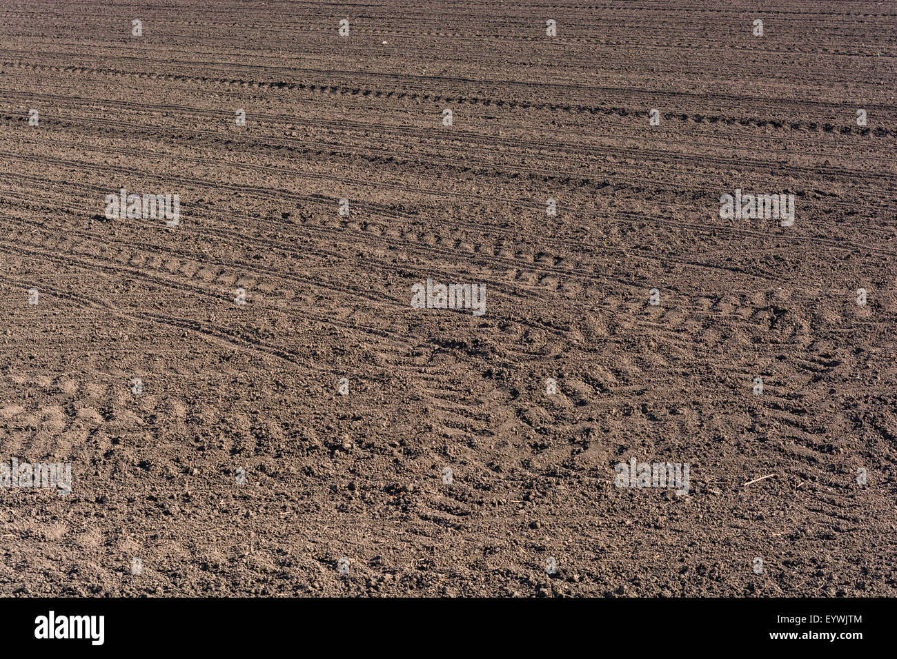Fertile Land Stock Photos & Fertile Land Stock Images Alamy