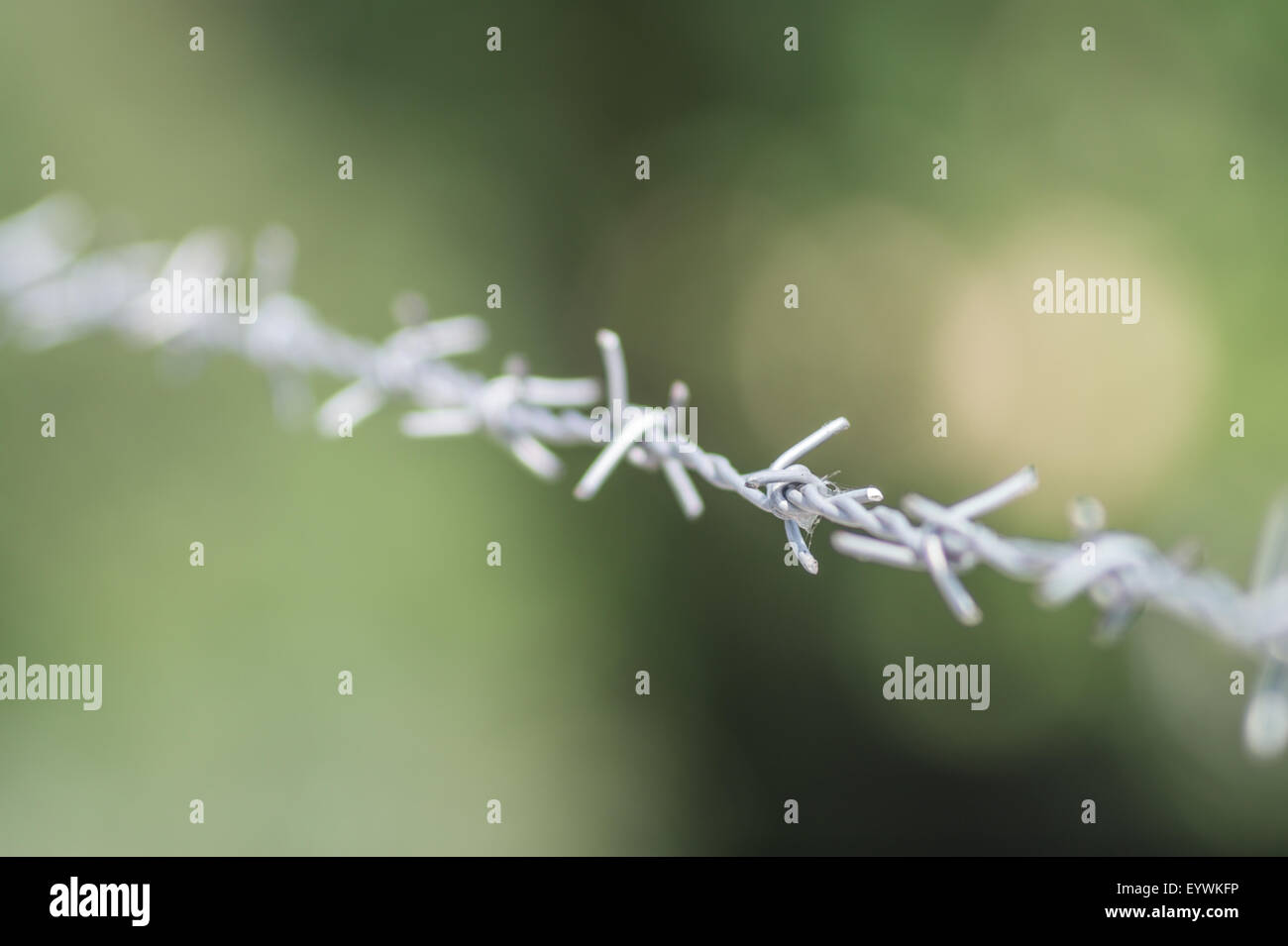 ply steel barbed wire on blurred background Stock Photo - Alamy