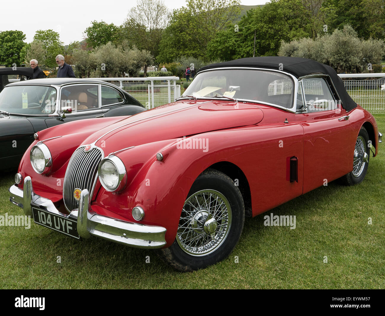 1950s automobile hi-res stock photography and images - Alamy