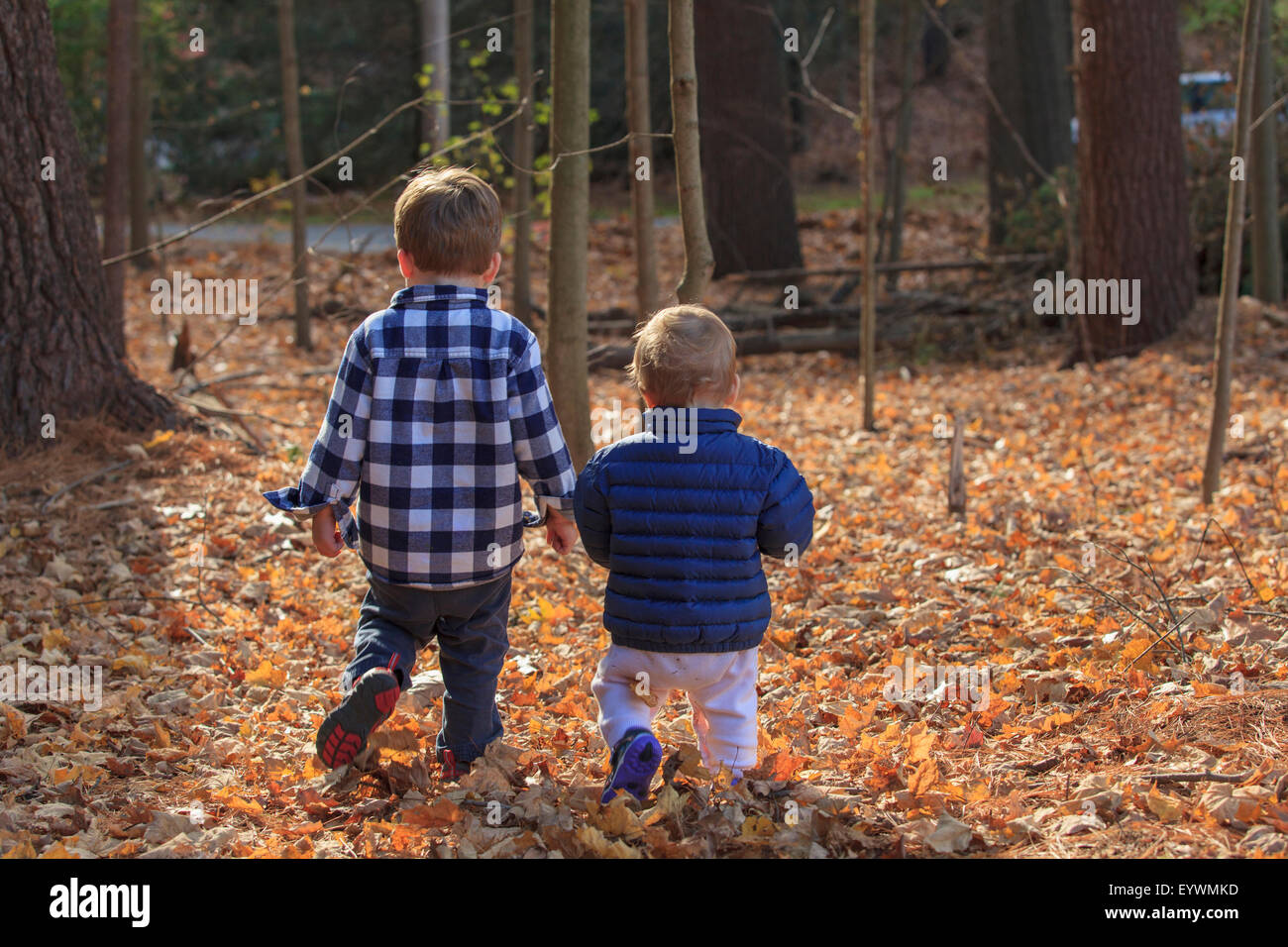 Rear view of a boy and his baby sister walking on fallen leaves Stock Photo