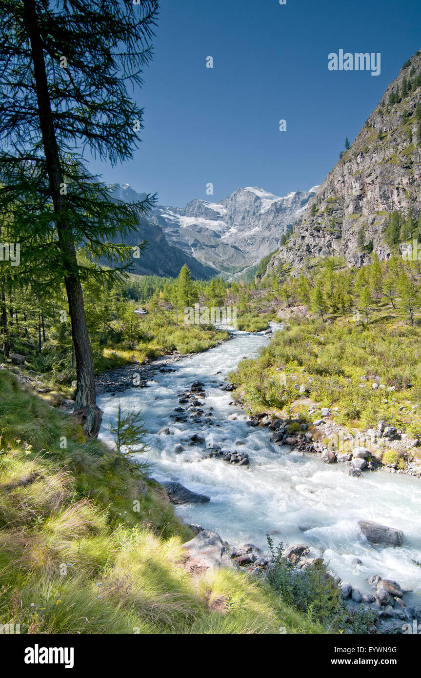 River in Valnontey. Gran Paradiso National Park. Aosta valley. Graian Alps. Italy. Stock Photo