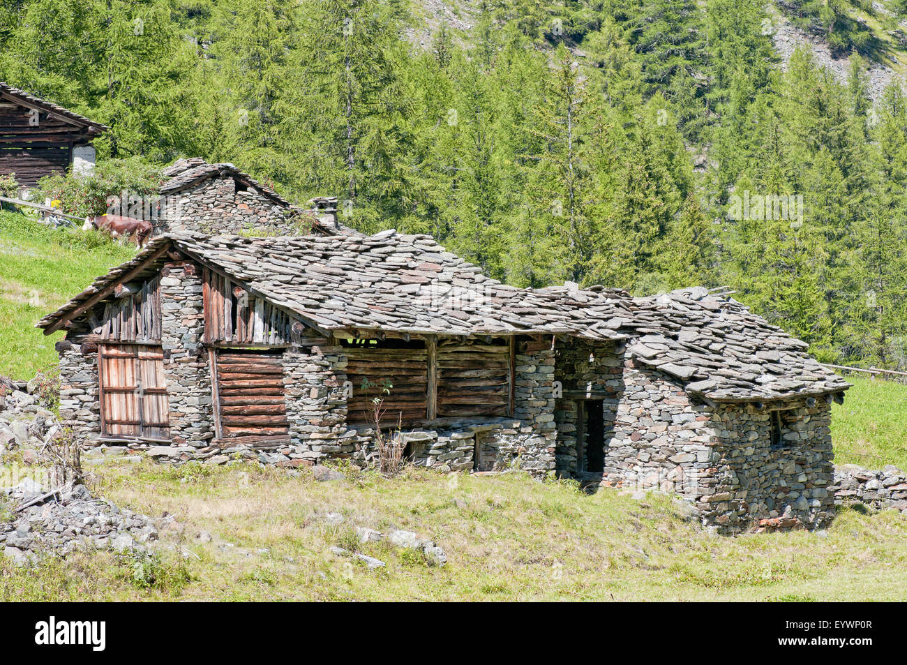 Old wood and stone sheppard in Gran Paradiso National Park. Aosta valley. Graian Alps. Italy. Stock Photo