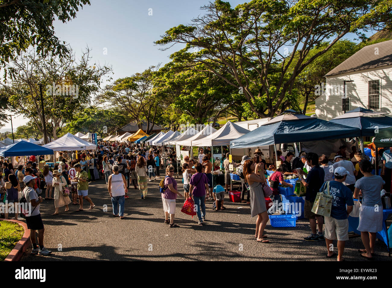 Saturday farmer's market, Honolulu, Oahu, Hawaii, United States of America, North America Stock Photo