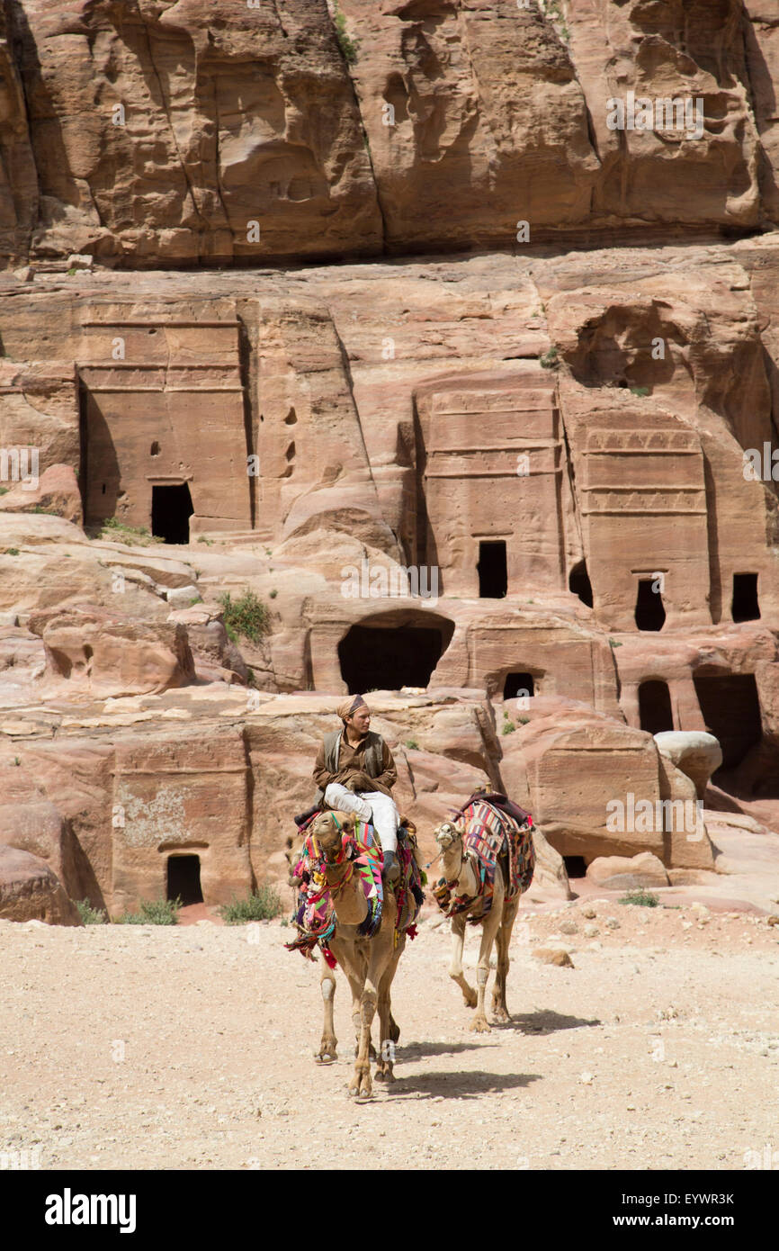 Local man with camels, tombs in the Wadi Musa area in the background, Petra, UNESCO World Heritage Site, Jordan, Middle East Stock Photo