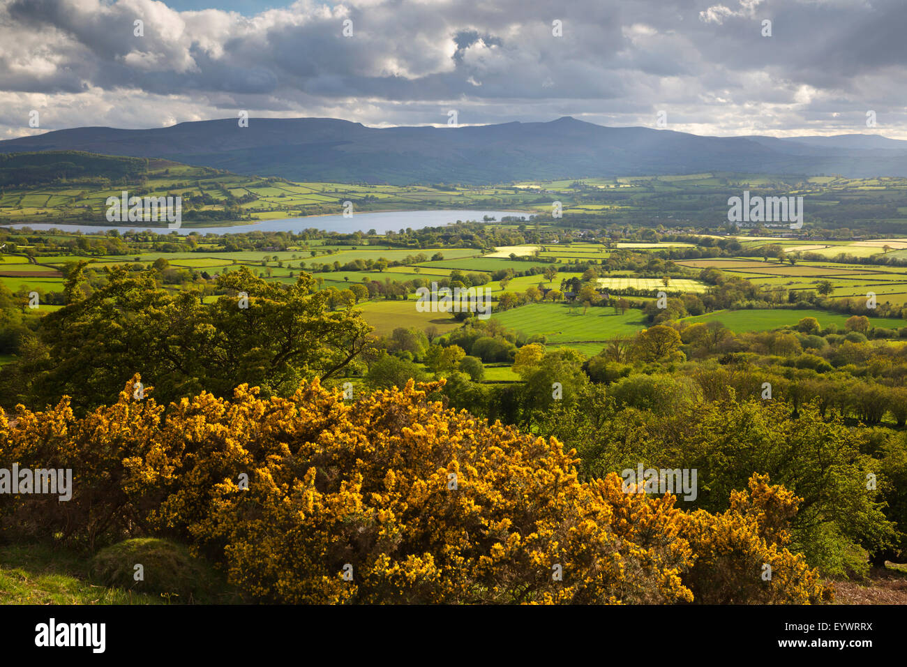View over Llangorse Lake to Pen Y Fan from Mynydd Troed, Llangorse, Brecon Beacons National Park, Powys, Wales, United Kingdom Stock Photo