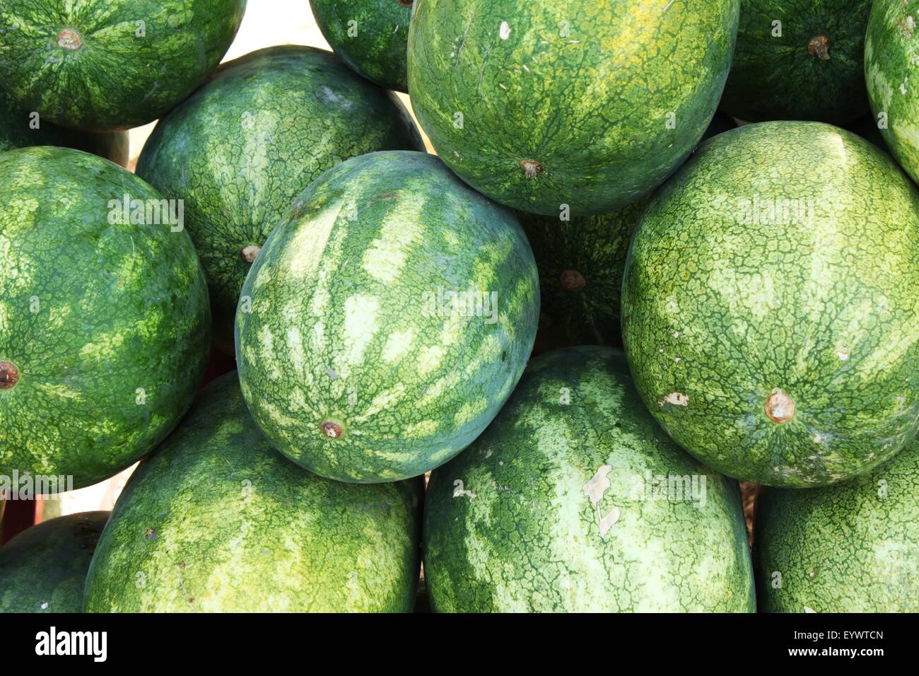 Big watermelons for sale at summer market Stock Photo Alamy