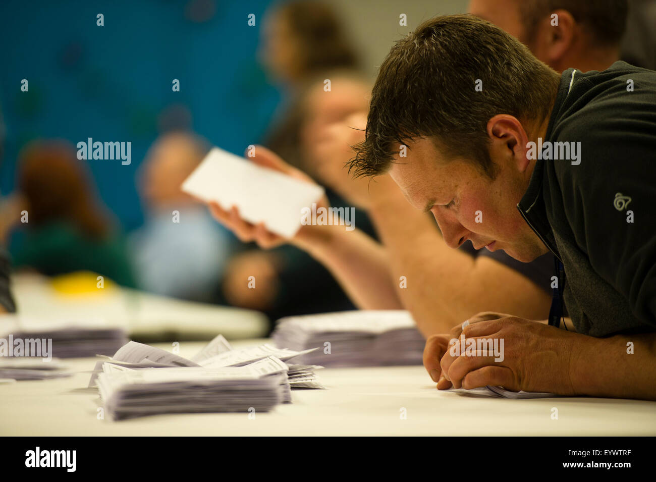Friday May 8 2015, Aberaeron Wales UK - A man counting the votes cast in the Ceredigion constituency in the May 2015 UK General Election.  Lib Dem candidate MARK WILLIAMS retained his seat as the MP with a majority of 3,000 , one of only 8 Lib Dem MP's to be re-elected that night Stock Photo