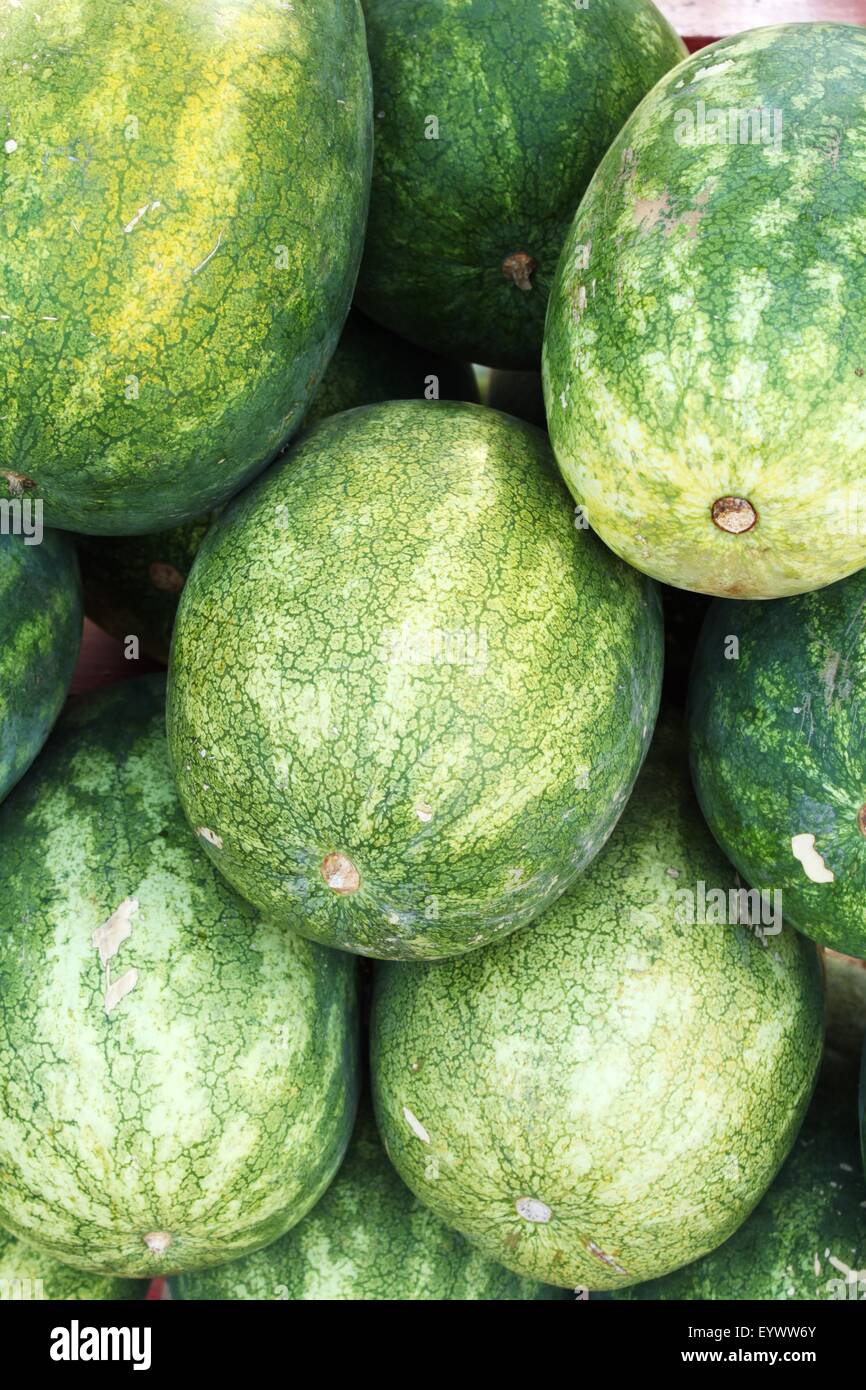 Big watermelons for sale at summer market Stock Photo Alamy