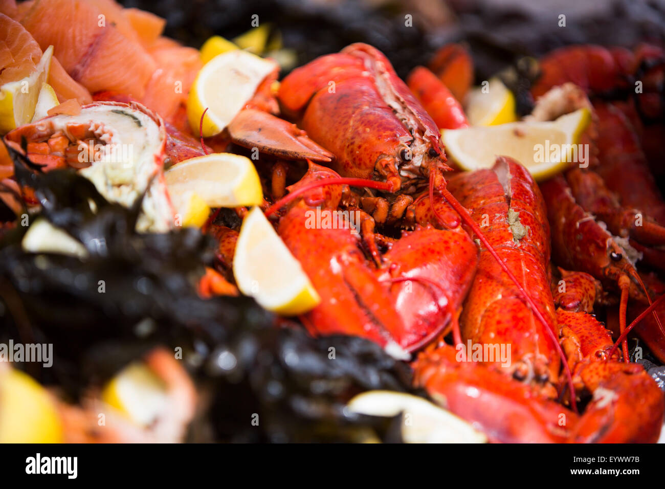 Detail of sea food platter - cooked lobster with lemon wedges and seaweed. Stock Photo