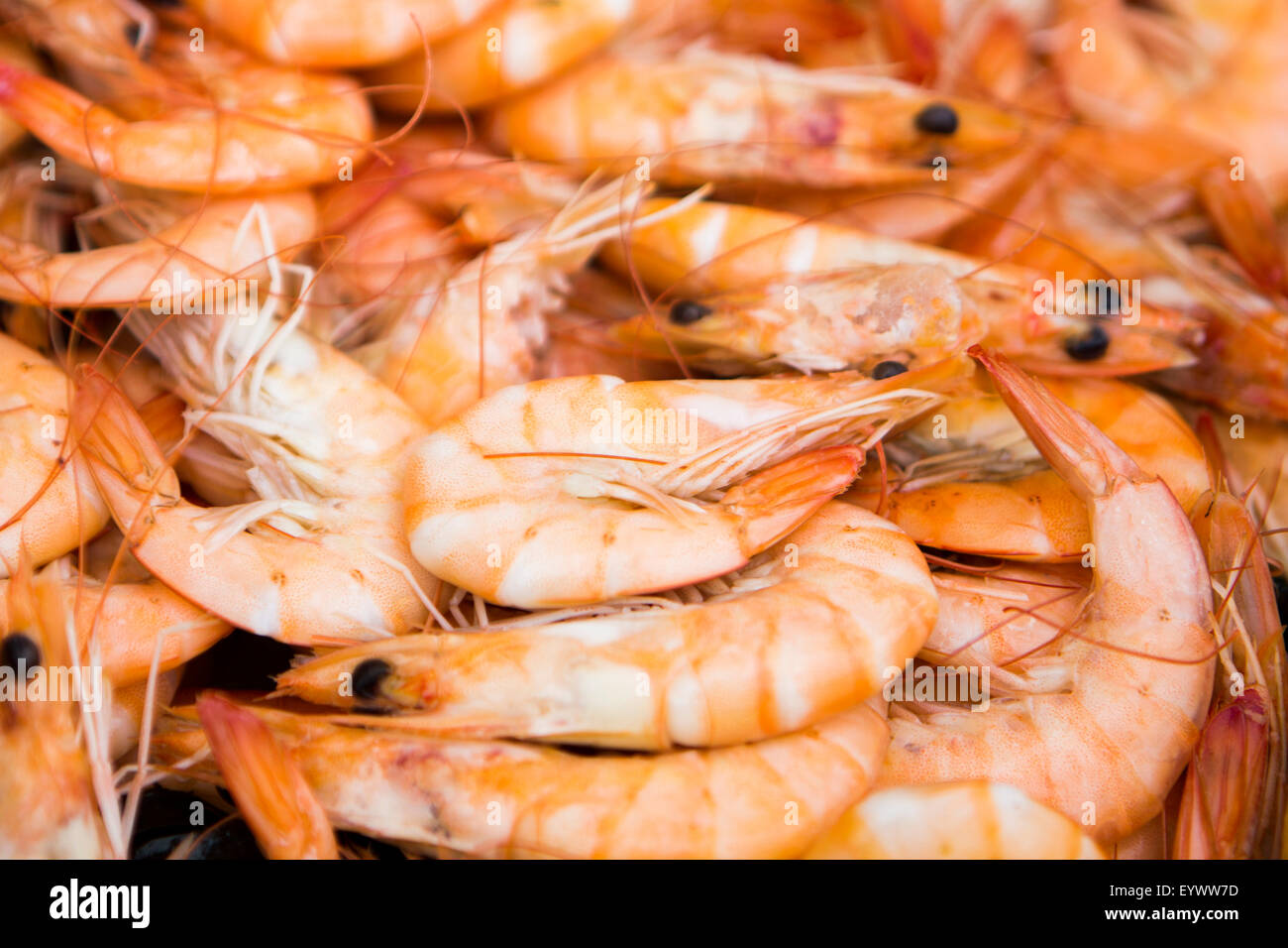 Details of sea food platter prawns Stock Photo Alamy