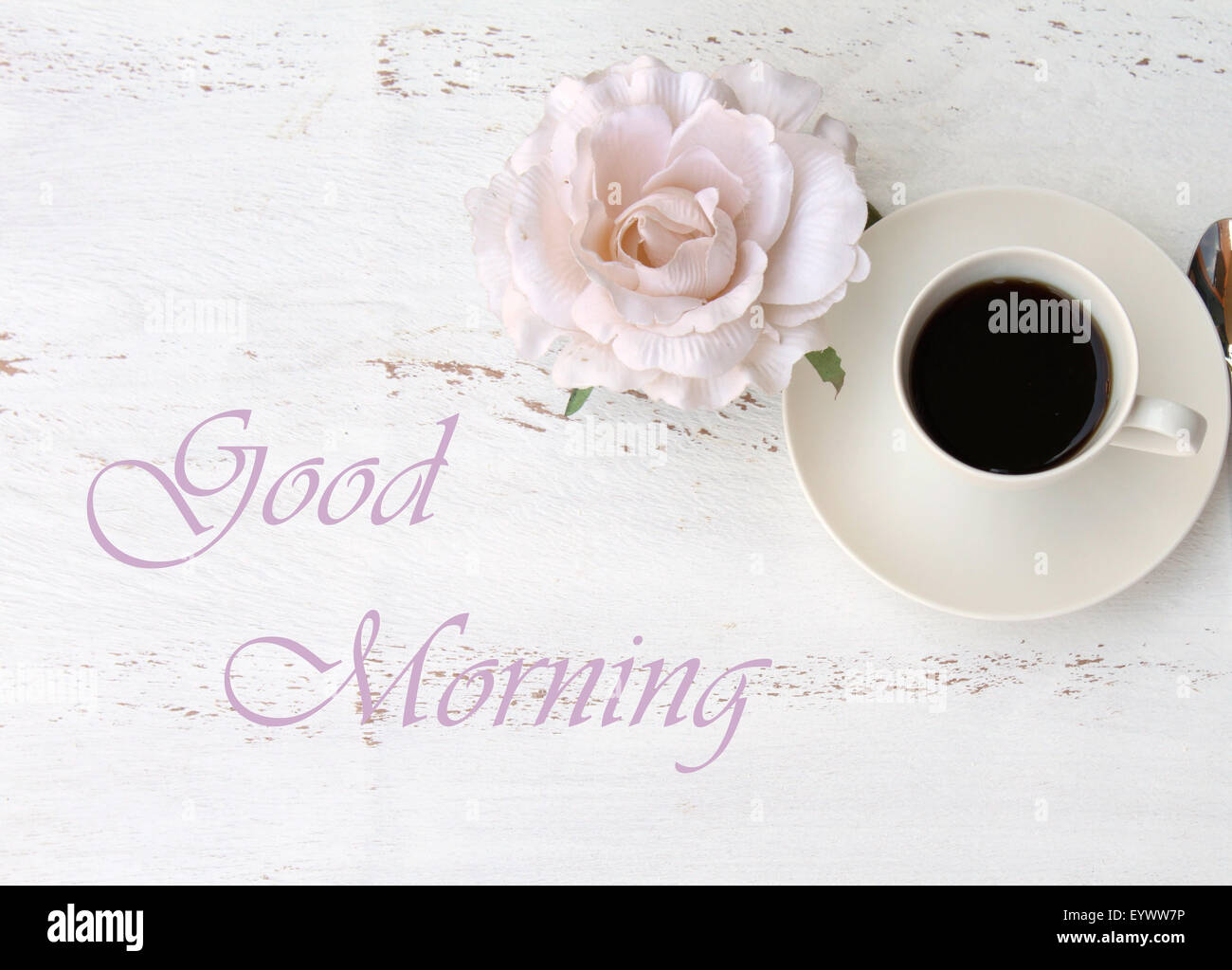 Coffee Flower Good Morning Stock Photos Coffee Flower Good