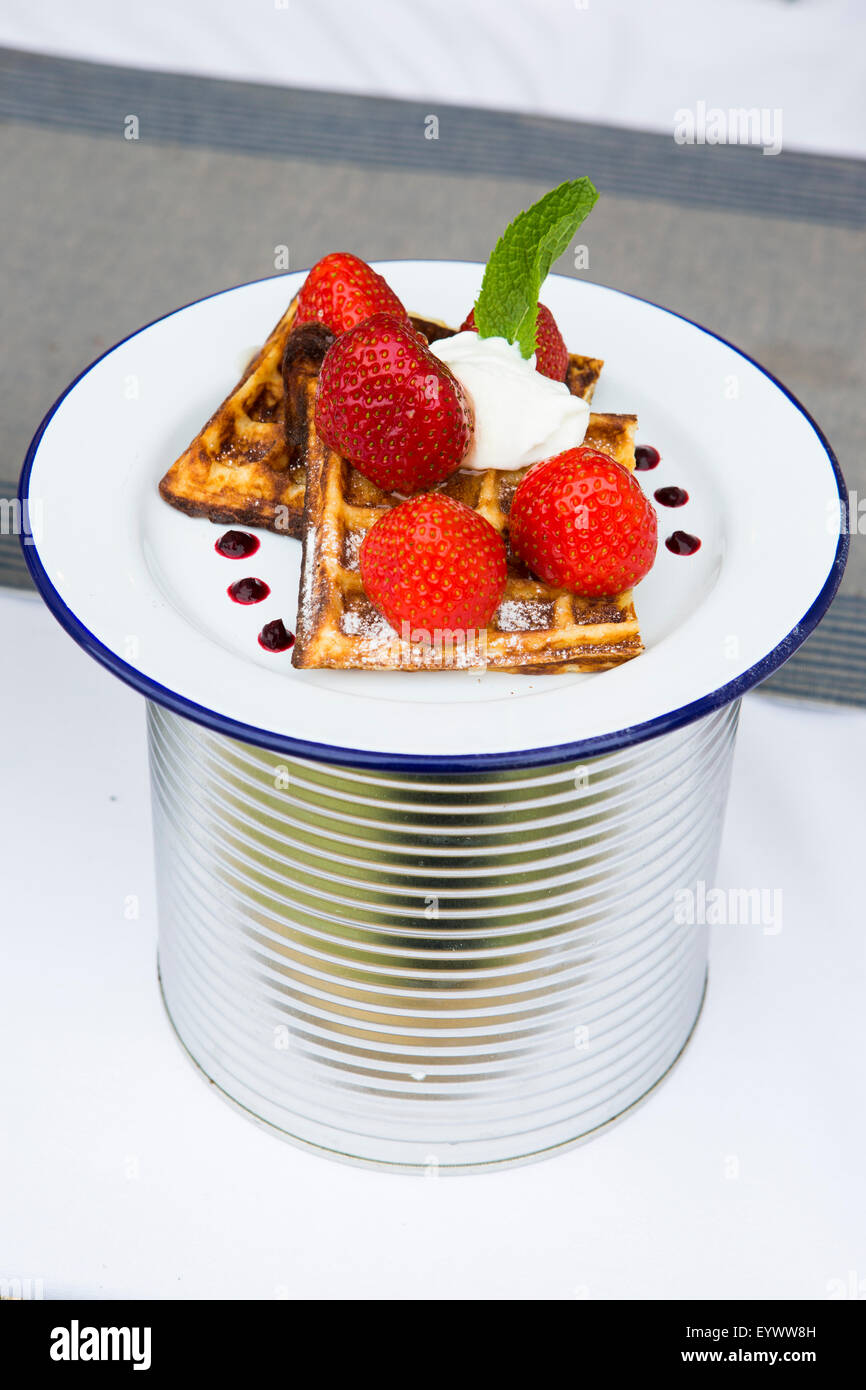 Strawberries and whipped cream with mint garnish on waffles with raspberry coulis. Stock Photo
