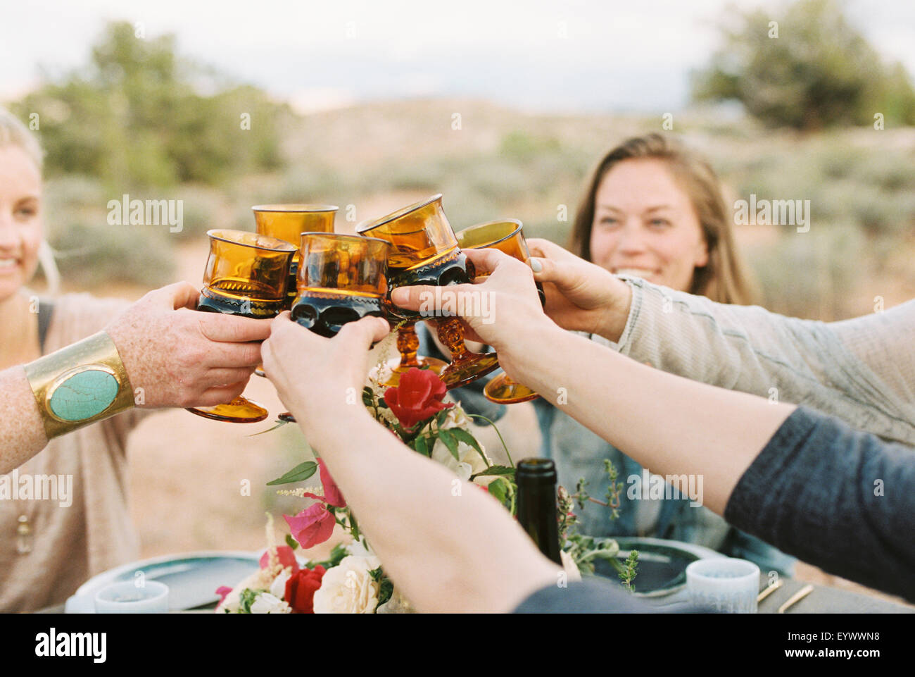 women raising their glasses to toast each other Stock Photo