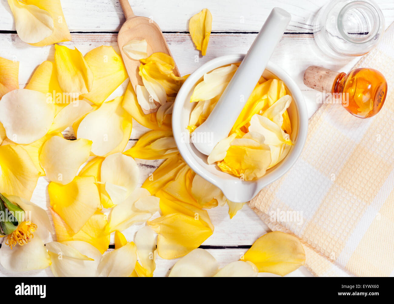 Making rose essence yellow rose petals in and around mortar, shovel, towel, empty bottle Stock
