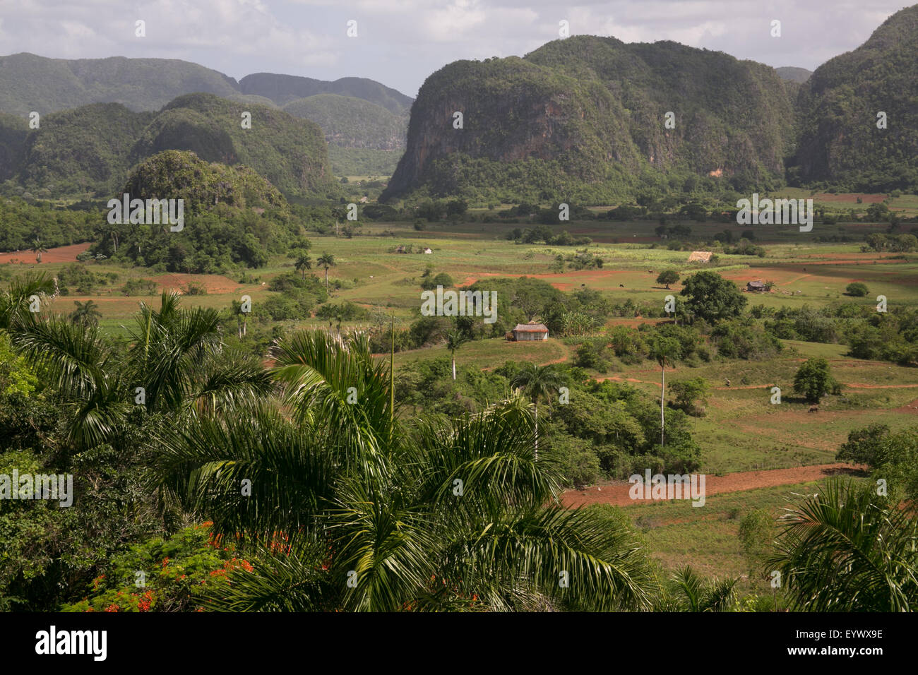 Vinales Valley, Cuba. Stock Photo