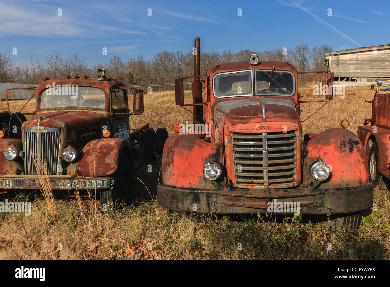 Antique trucks abandoned and rusting in a field Stock Photo - Alamy
