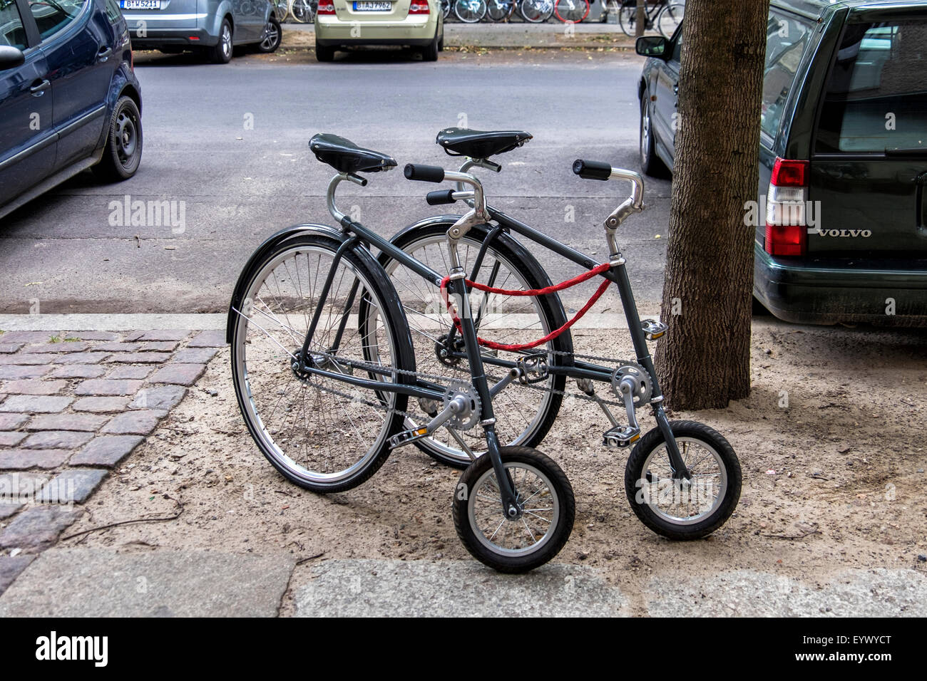 velo bike store