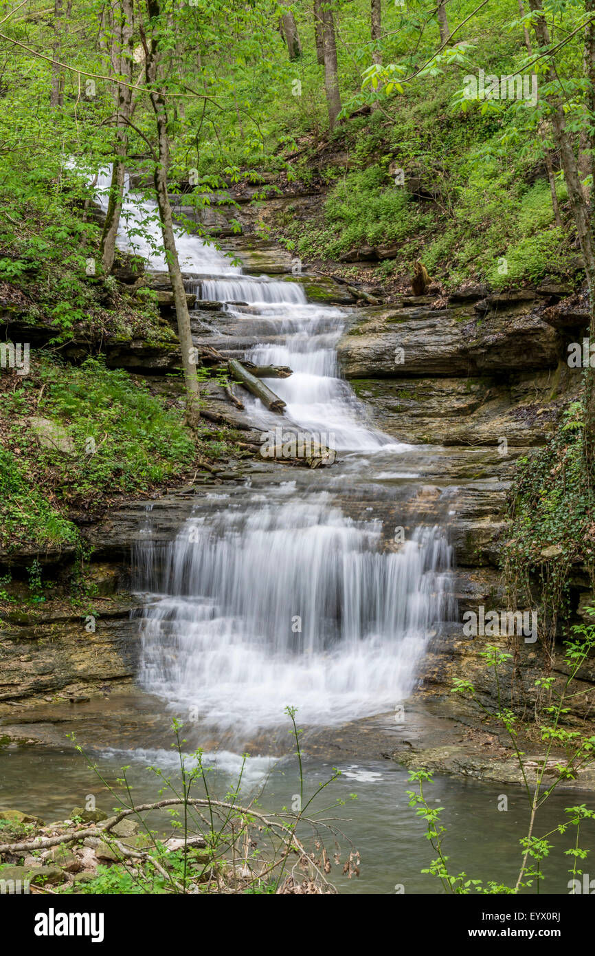 Scenic waterfall on a small wooded stream in Kentucky USA Stock Photo