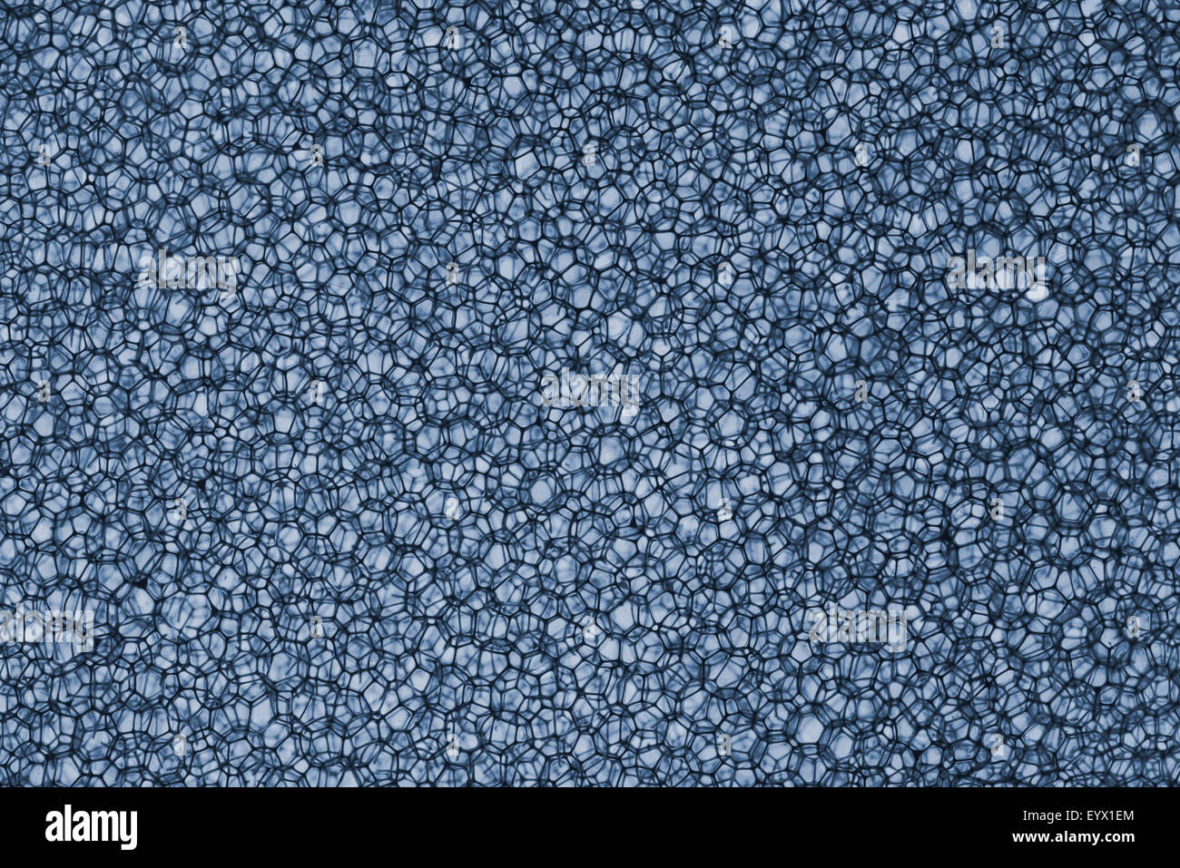 Background Of Sponge in Blue color shot in studio Stock Photo