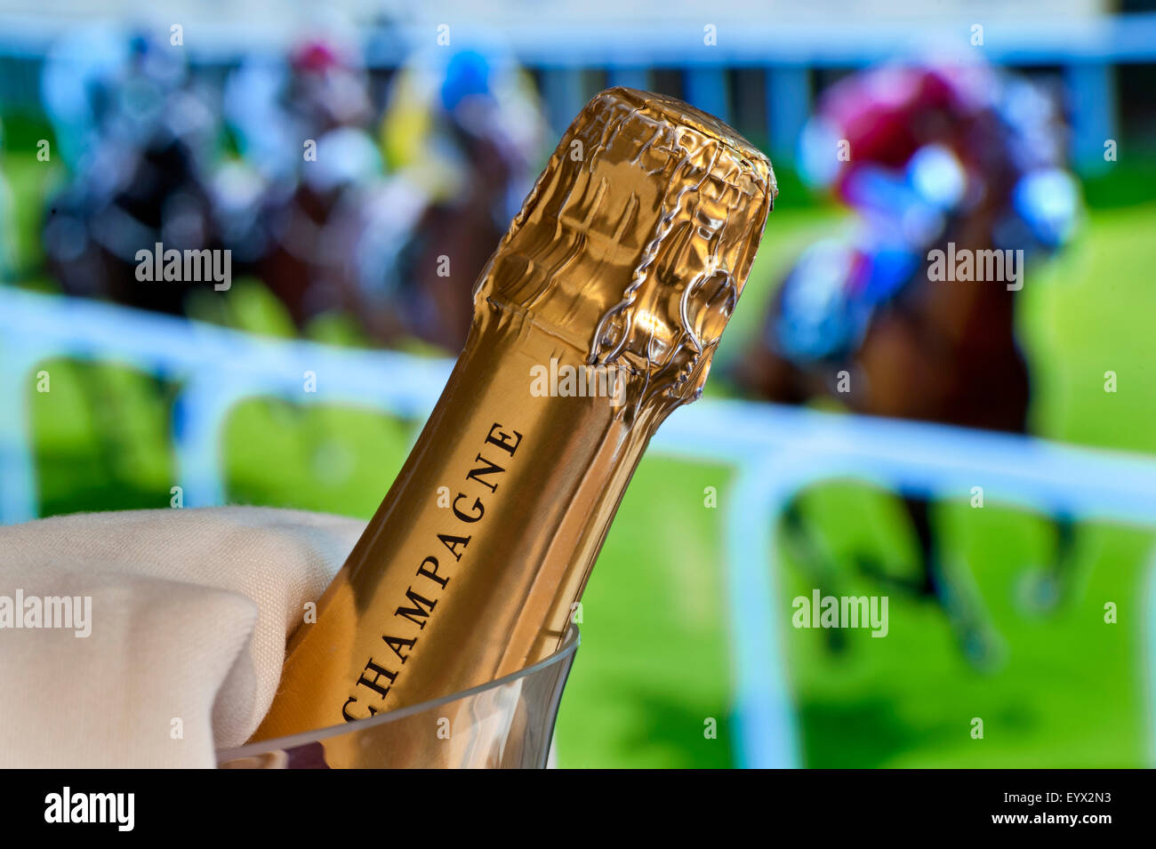 Ascot races champagne bottle in cooler with Royal Ascot Ladies Day horse racing in background Ascot Berkshire UK Stock Photo