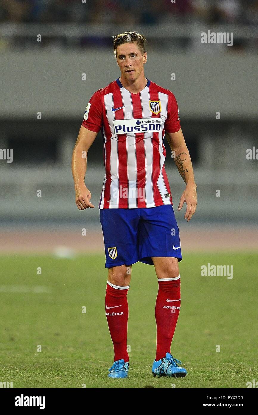 fernando torres atletico madrid jersey