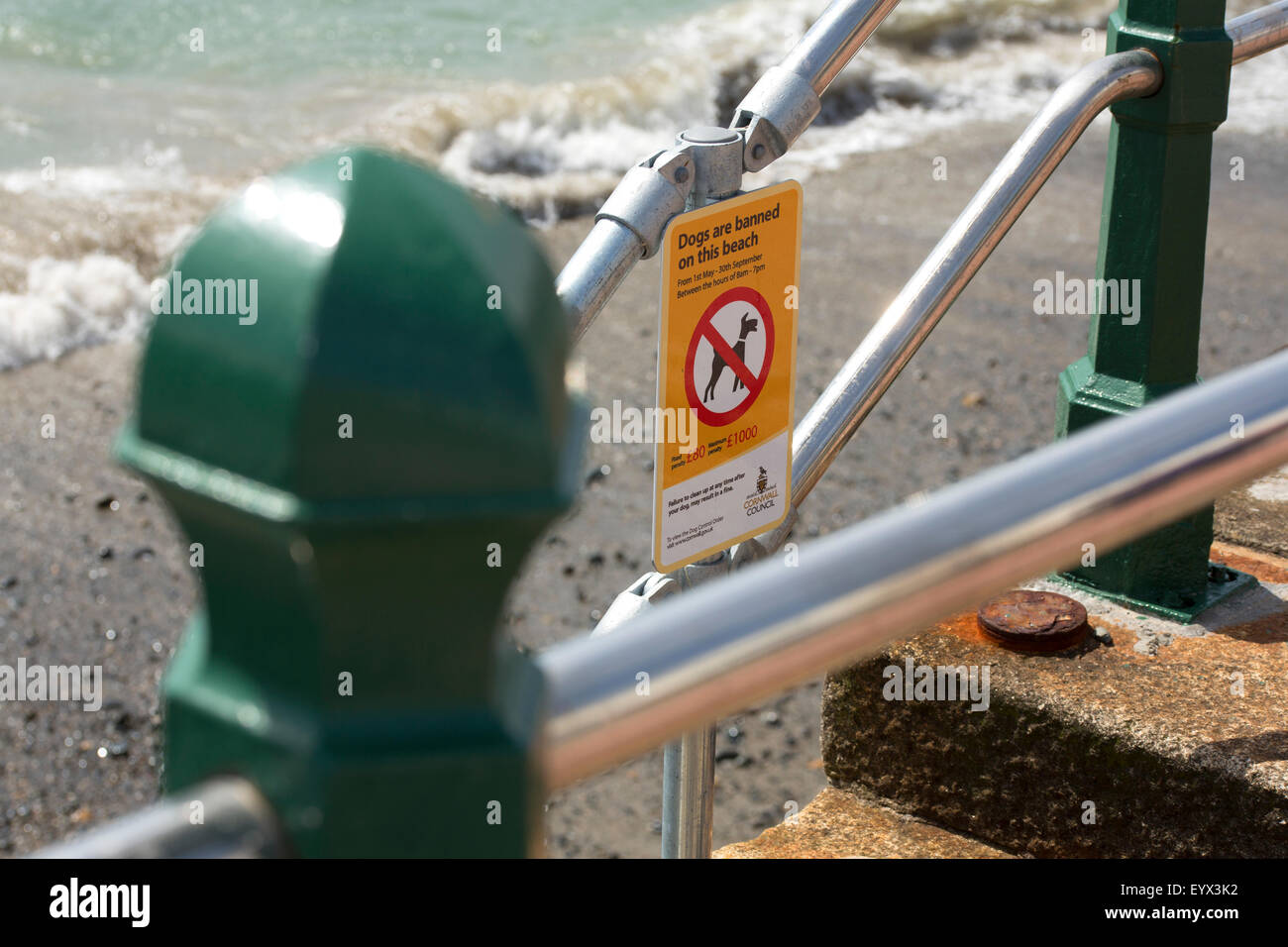 Dogs are Banned on this Beach Stock Photo