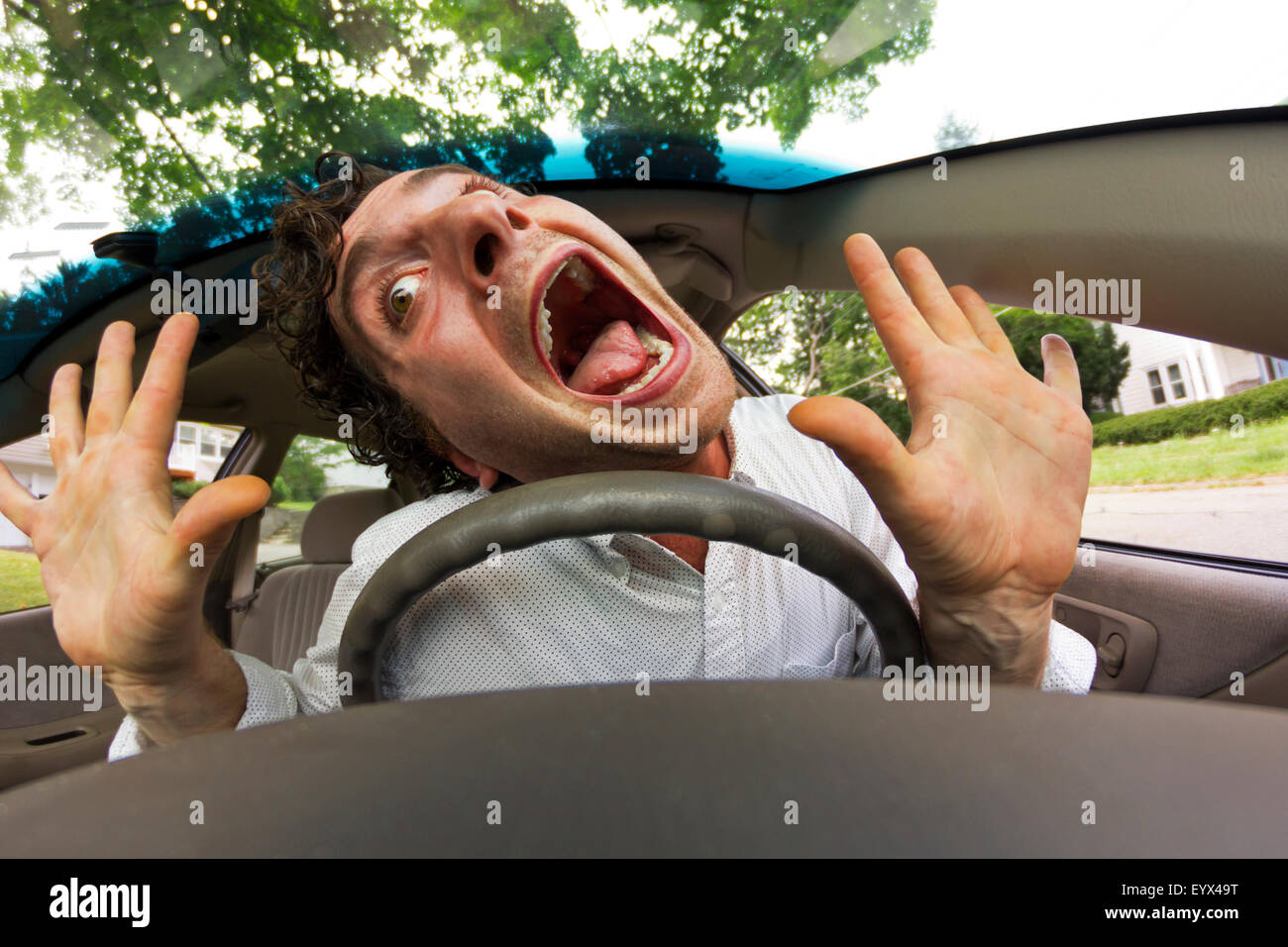 женщина кошка смешные картинки. I got into the car. женщина кошка мем. Get into a car. I got into the car.