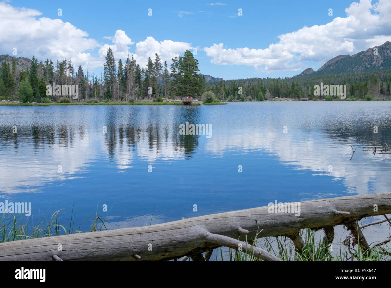 Shimmering mirrored surface of alpine mountain Sprague Lake in Colorado Rocky Mountains National Park USA Stock Photo