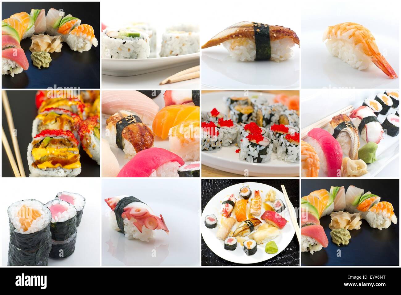 variety-of-popular-sushi-rolls-in-japanese-food-collage-imagery-stock