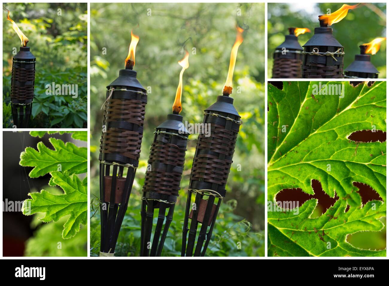 Bamboo citronella torches to repell mosquitoes and other insects Stock